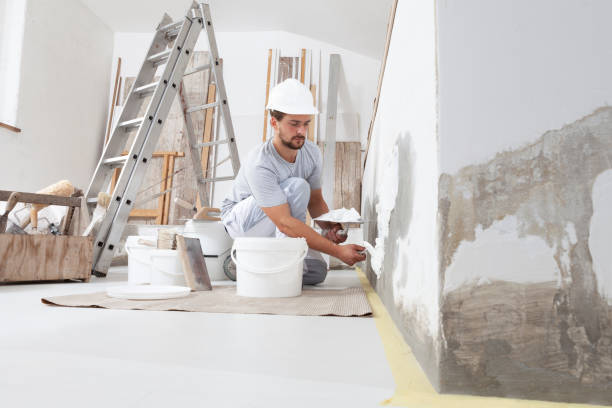 Mold Remediation for Rental Properties in Verona, KY