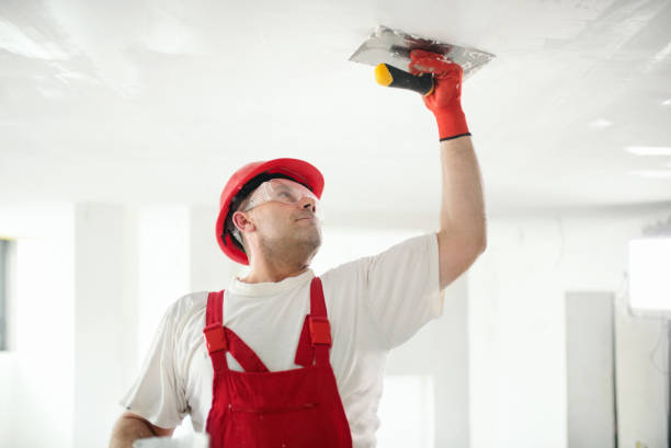 Best Emergency Mold Remediation  in Verona, KY