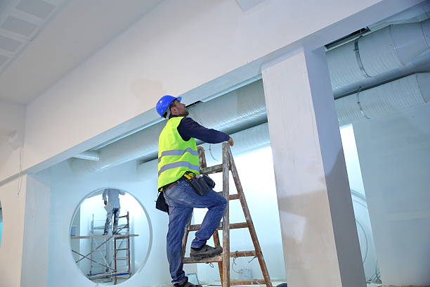 Best Black Mold Removal  in Verona, KY