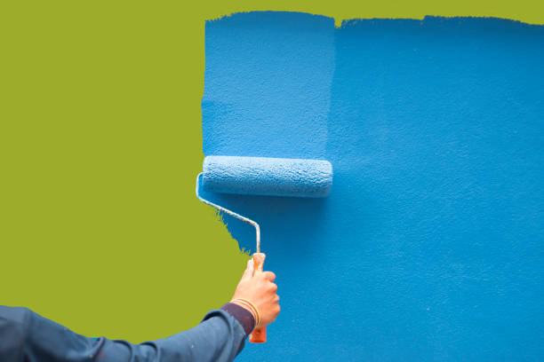Best Attic Mold Removal  in Verona, KY