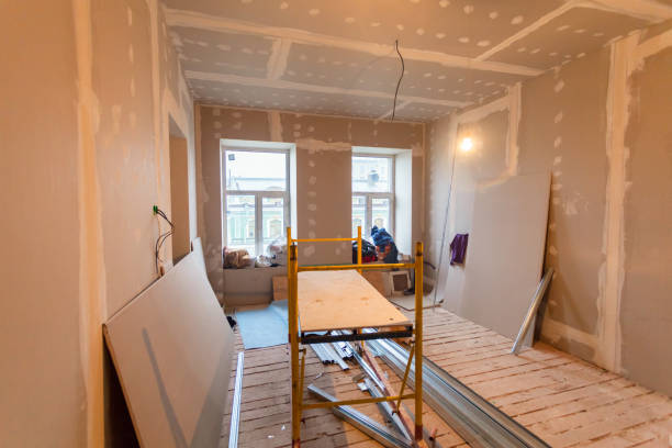 Best Mold Remediation for Rental Properties  in Verona, KY