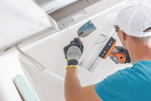 Best Water Damage & Mold Remediation  in Verona, KY